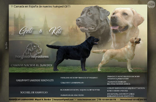 Camada Geti X Kiti